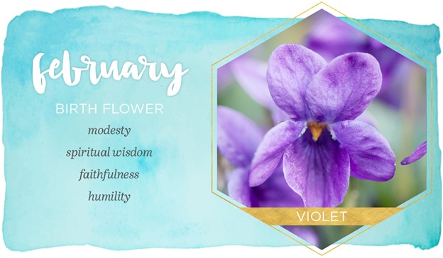 February Birth Flowers: Violets