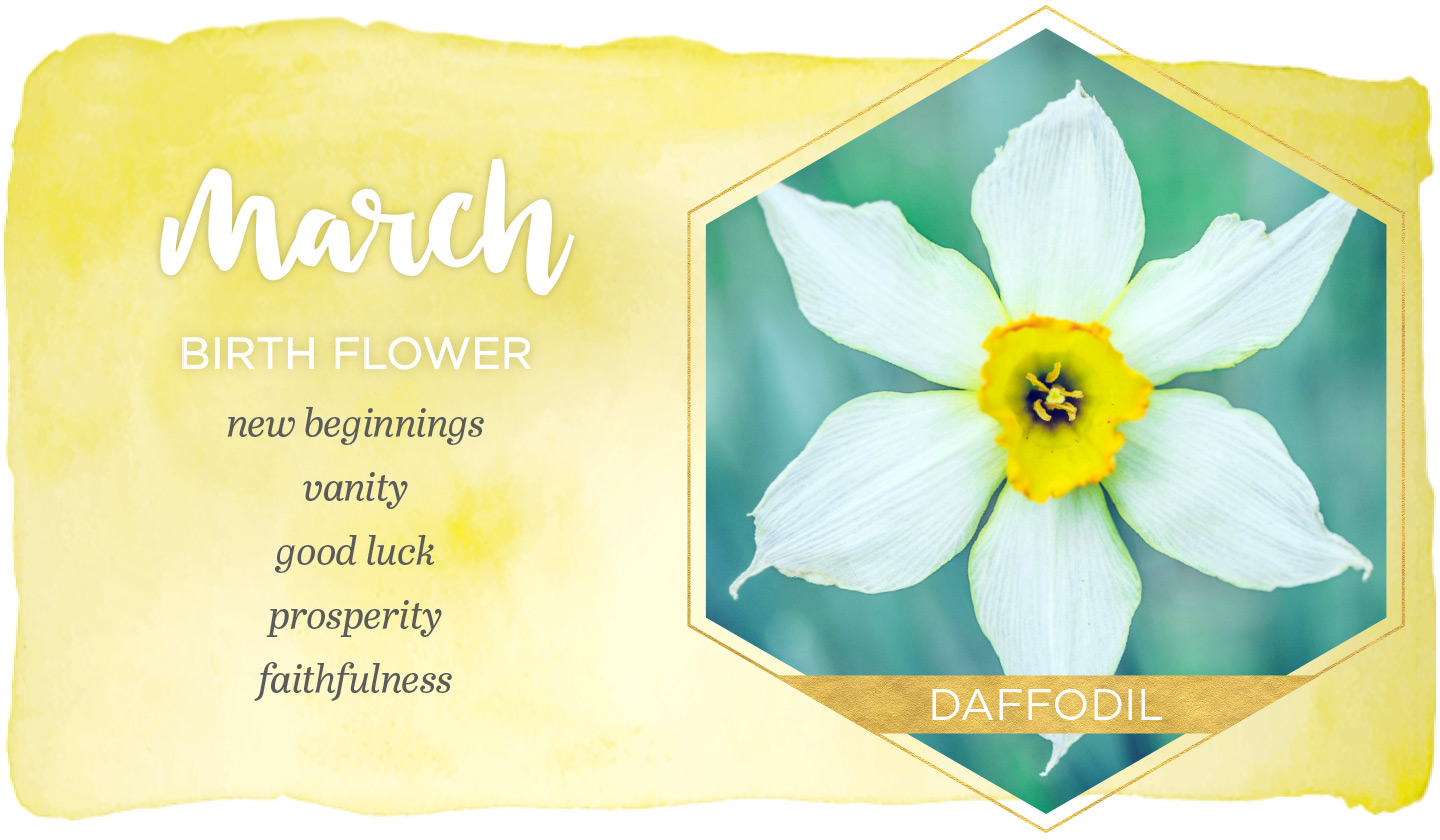 March Birth Flowers: Daffodils